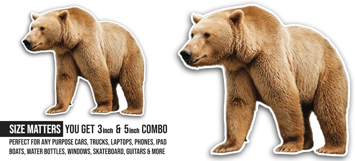 2 (Pieces) 3" and 5" Bear Sticker, Waterproof Vinyl Decals for Many Purpose Like Cars, Trucks, Laptops, Phones, Windows and More