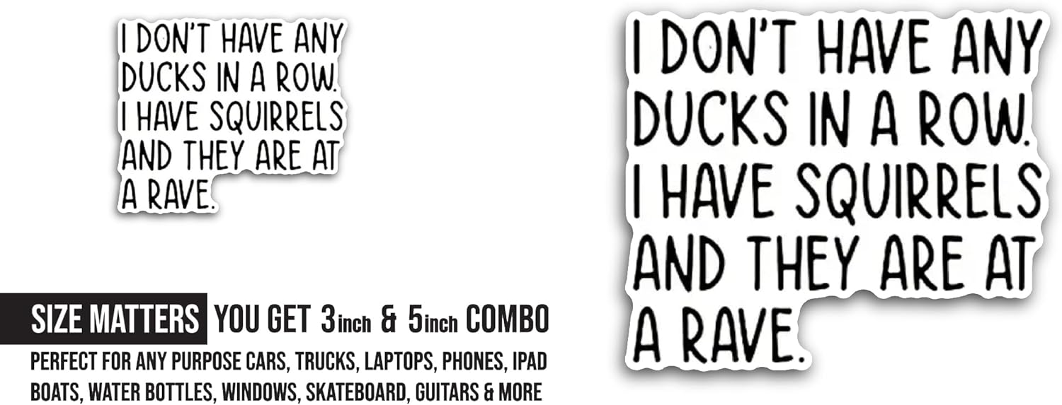 2 (Pieces) 3" and 5" I Don't Have Any Sticker, Waterproof Vinyl Decals for Many Purpose Like Cars, Trucks, Laptops, Phones, Windows and More