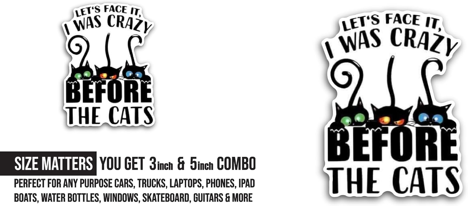 2 (Pieces) 3" and 5" Let's Face It I was Crazy Sticker, Waterproof Vinyl Decals for Many Purpose Like Cars, Trucks, Laptops, Phones, Windows and More