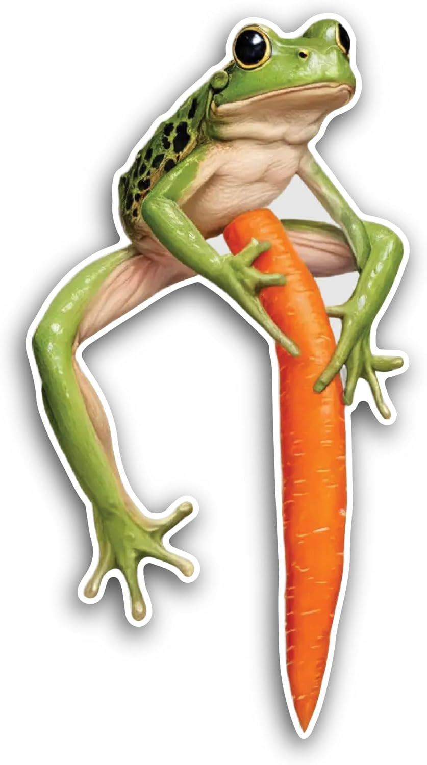 2 (Pieces) 3" and 5" Green Frog On A White Background Sticker, Waterproof Vinyl Decals for Many Purpose Like Cars, Trucks, Laptops, Phones, Windows and More