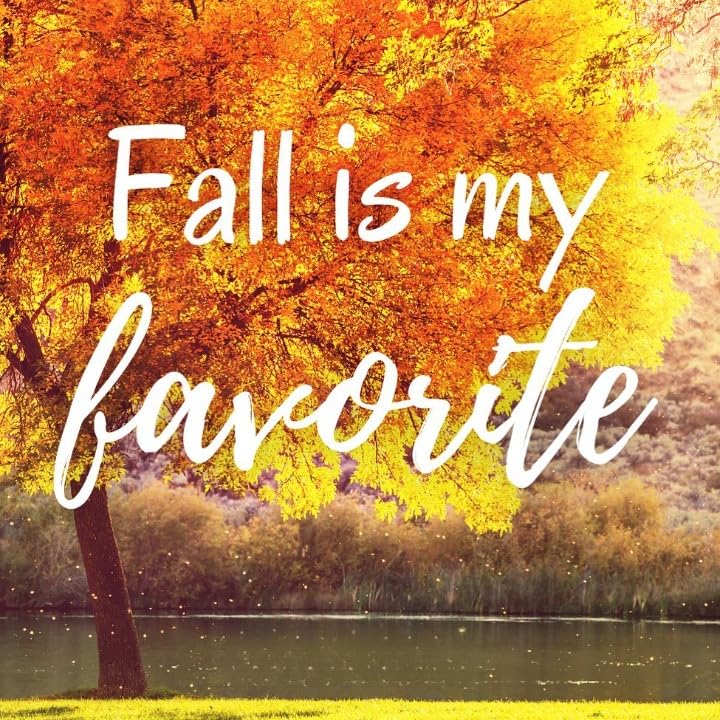 2 (Pieces) 3" and 5" Stickers n Decals Autumn Vibes - Motivational Sticker Vinyl Decal Sticker, Wate