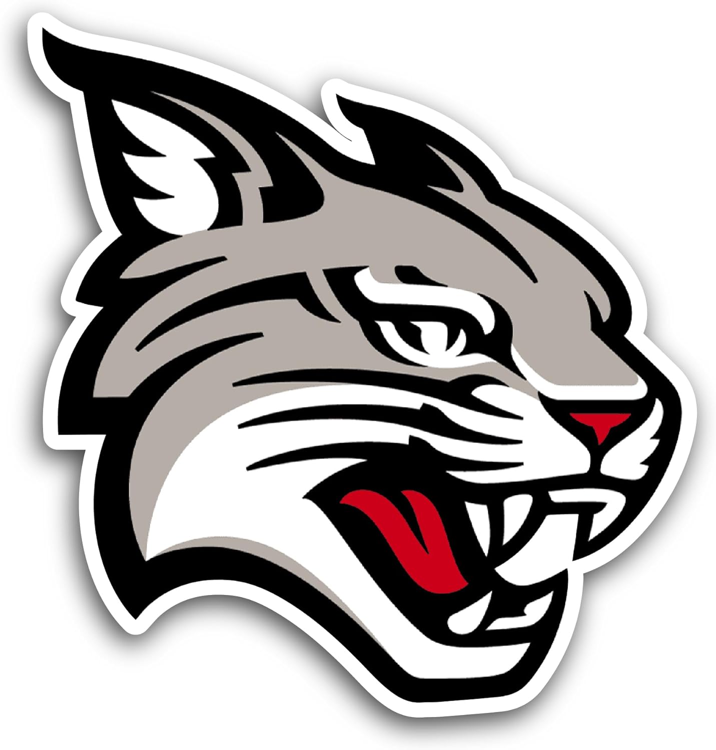 2 (Pieces) 3" and 5" Davids0n Wildcats Sticker, Waterproof Vinyl Decals for Many Purpose Like Cars, Trucks, Laptops, Phones, Windows and More