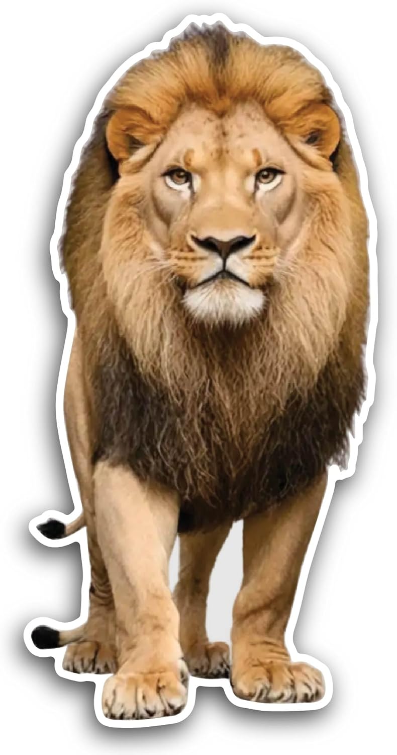 2 (Pieces) 3" and 5" Lion Walking Front View Sticker, Waterproof Vinyl Decals for Many Purpose Like Cars, Trucks, Laptops, Phones, Windows and More