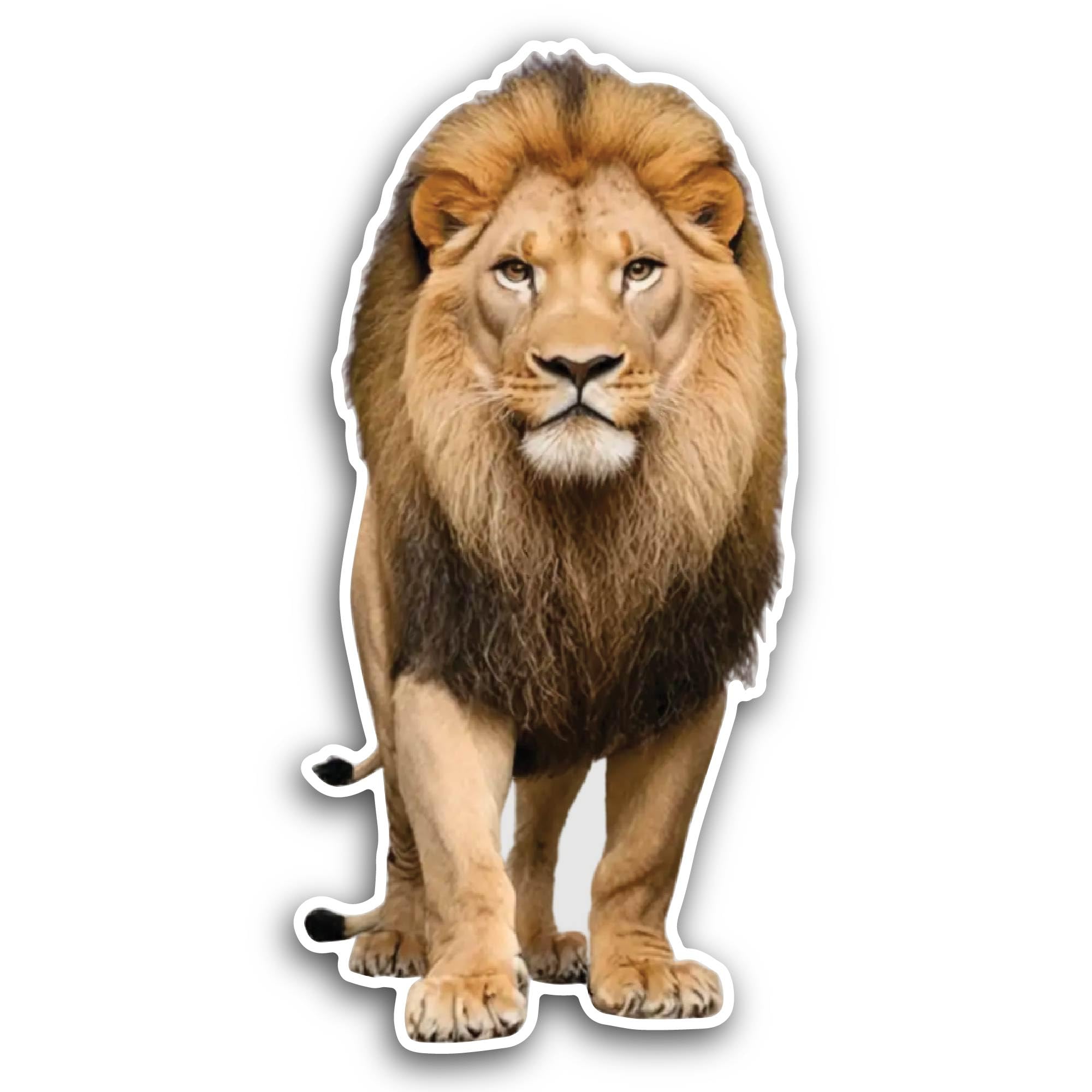 2 (Pieces) 3" and 5" Lion Walking Front View Sticker, Waterproof Vinyl Decals for Many Purpose Like 