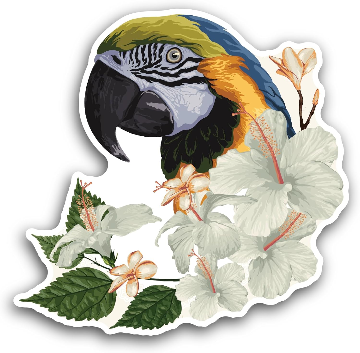 2 (Pieces) 3" and 5" Blue and Yellow Macaw Sticker, Waterproof Vinyl Decals for Many Purpose Like Cars, Trucks, Laptops, Phones, Windows and More