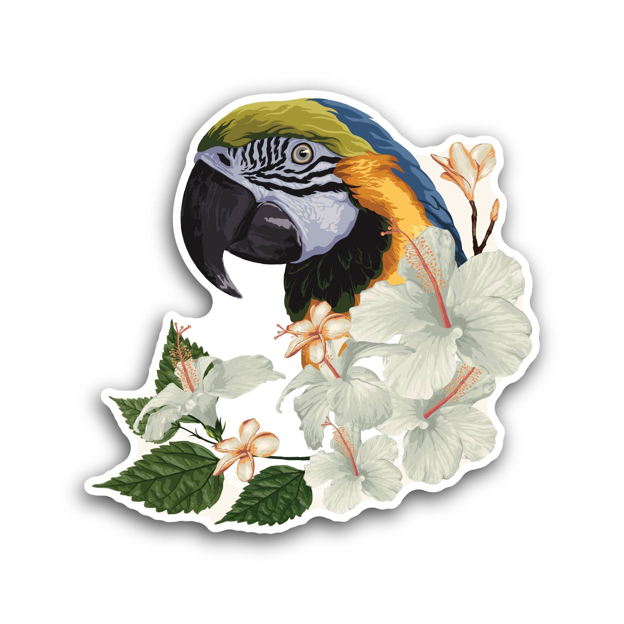 2 (Pieces) 3" and 5" Blue and Yellow Macaw Sticker, Waterproof Vinyl Decals for Many Purpose Like Ca