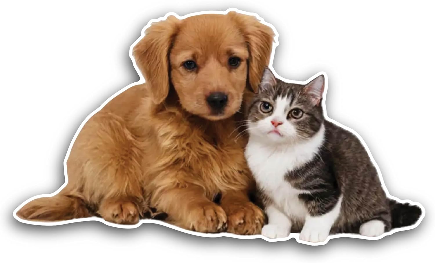 2 (Pieces) 3" and 5" Cat and Dog Sticker, Waterproof Vinyl Decals for Many Purpose Like Cars, Trucks, Laptops, Phones, Windows and More