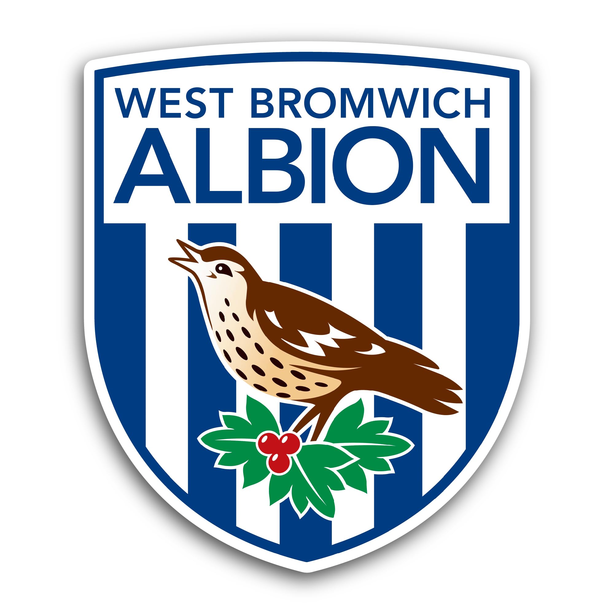 2 (Pieces) 3" and 5" Joy in The Snow Sticker, Waterproof Vinyl Decals for Many Purpose Like Cars, Tr