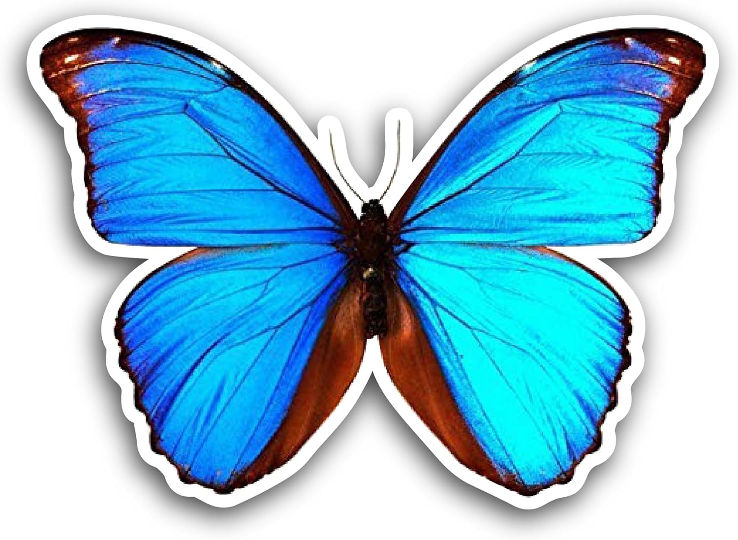 2 (Pieces) 3" and 5" Blue Morpho Tropical Butterfly Sticker, Waterproof Vinyl Decals for Many Purpose Like Cars, Trucks, Laptops, Phones, Windows and More