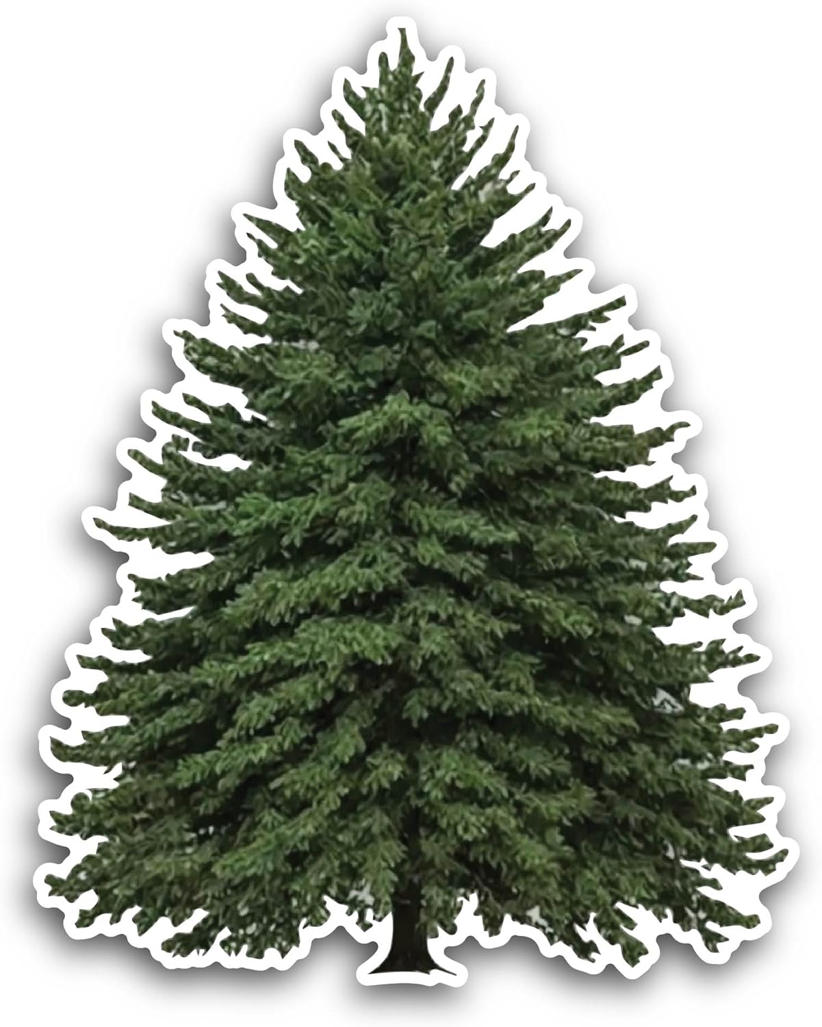 2 (Pieces) 3" and 5" Pine Tree Sticker, Waterproof Vinyl Decals for Many Purpose Like Cars, Trucks, Laptops, Phones, Windows and More