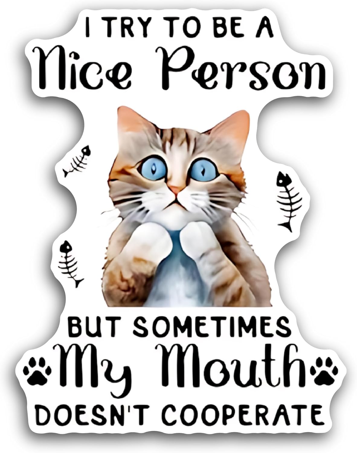 2 (Pieces) 3" and 5" I Try to Be A Nice Person Sticker, Waterproof Vinyl Decals for Many Purpose Like Cars, Trucks, Laptops, Phones, Windows and More