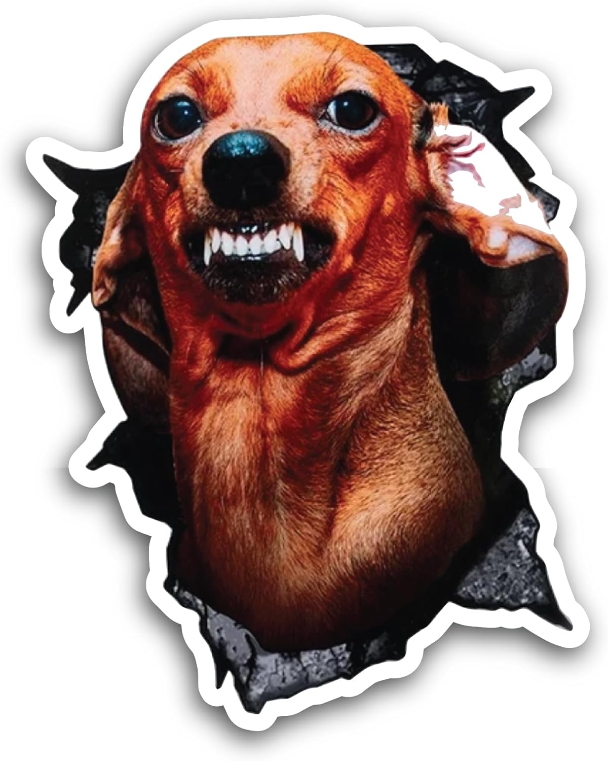 2 (Pieces) 3" and 5" Angry Dog Sticker, Waterproof Vinyl Decals for Many Purpose Like Cars, Trucks, Laptops, Phones, Windows and More