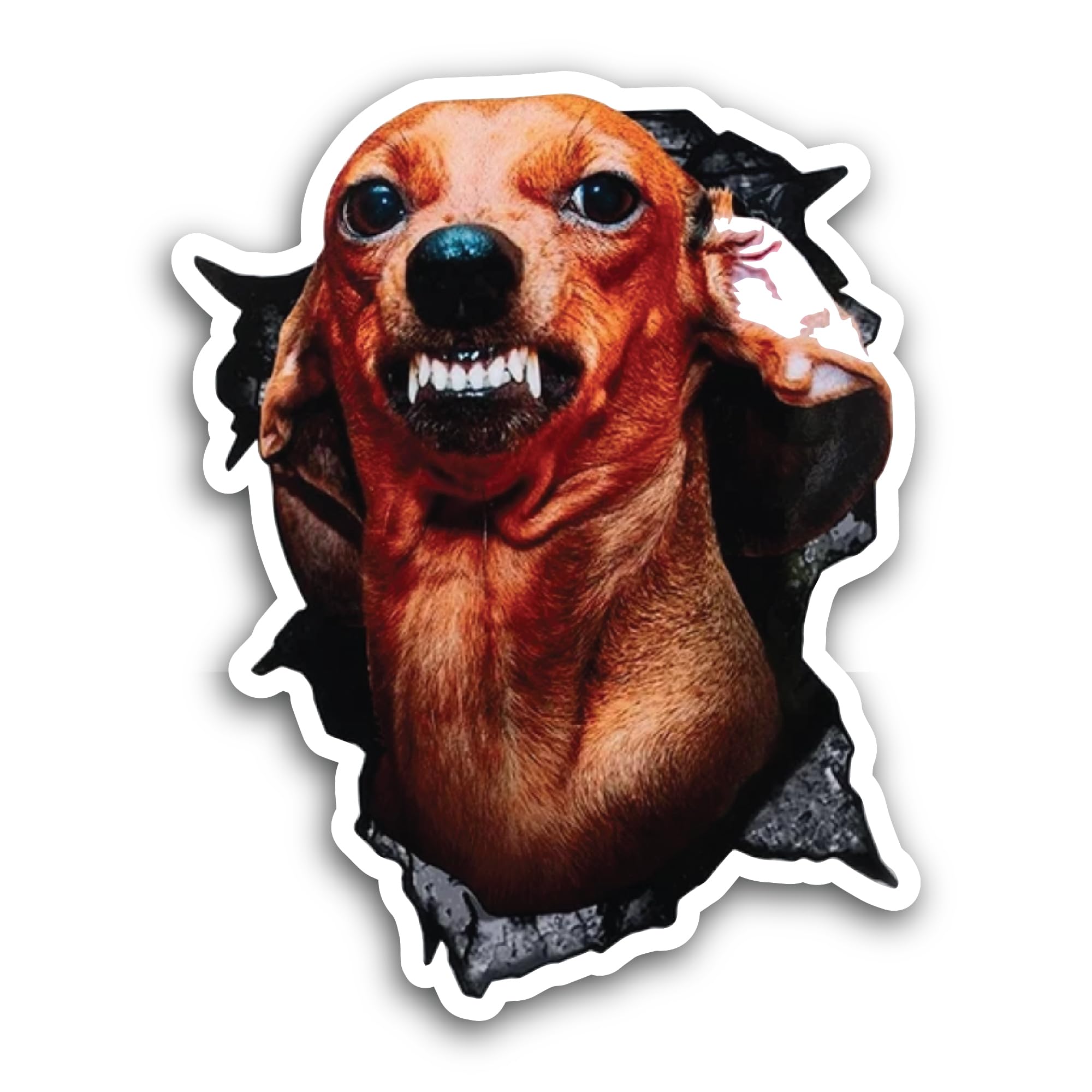 2 (Pieces) 3" and 5" Angry Dog Sticker, Waterproof Vinyl Decals for Many Purpose Like Cars, Trucks, 