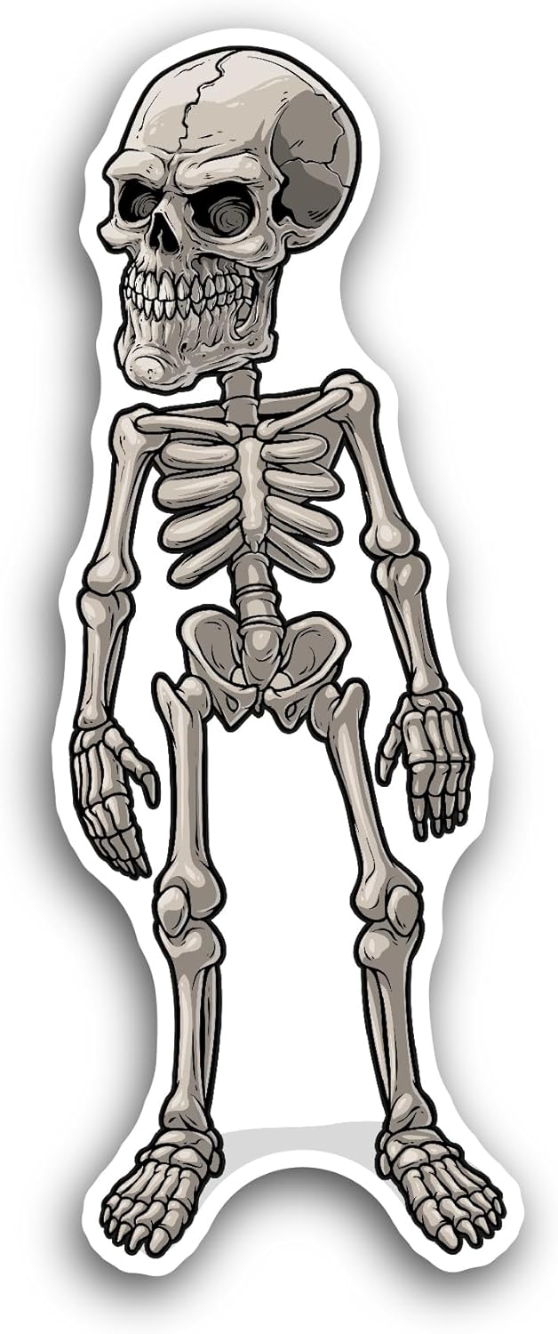 2 (Pieces) 3" and 5" Skeleton Sticker, Waterproof Vinyl Decals for Many Purpose Like Cars, Trucks, Laptops, Phones, Windows and More
