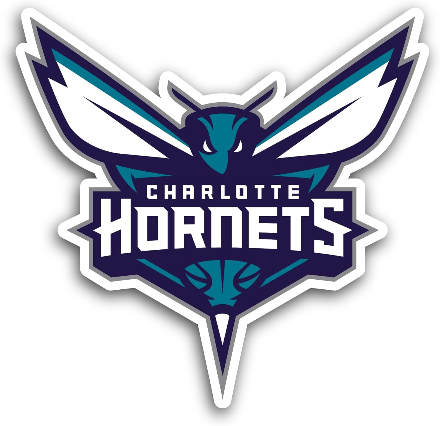 2 (Pieces) 3" and 5" Charlotte Team Decal Sticker, Waterproof Vinyl Decals for Many Purpose Like Cars, Trucks, Laptops, Phones, Windows and More