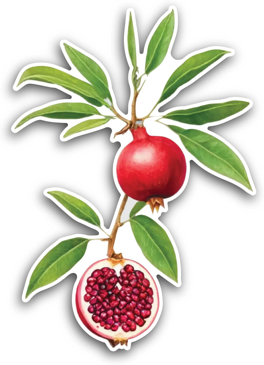 2 (Pieces) 3" and 5" Pomegranate Fruit Sticker, Waterproof Vinyl Decals for Many Purpose Like Cars, Trucks, Laptops, Phones, Windows and More