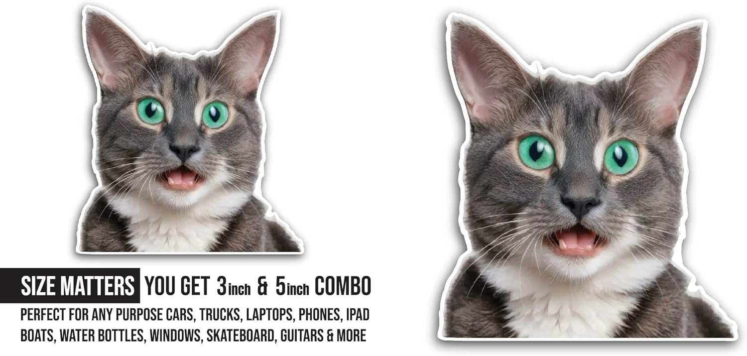 2 (Pieces) 3" and 5" Funny Cat Sticker, Waterproof Vinyl Decals for Many Purpose Like Cars, Trucks, Laptops, Phones, Windows and More
