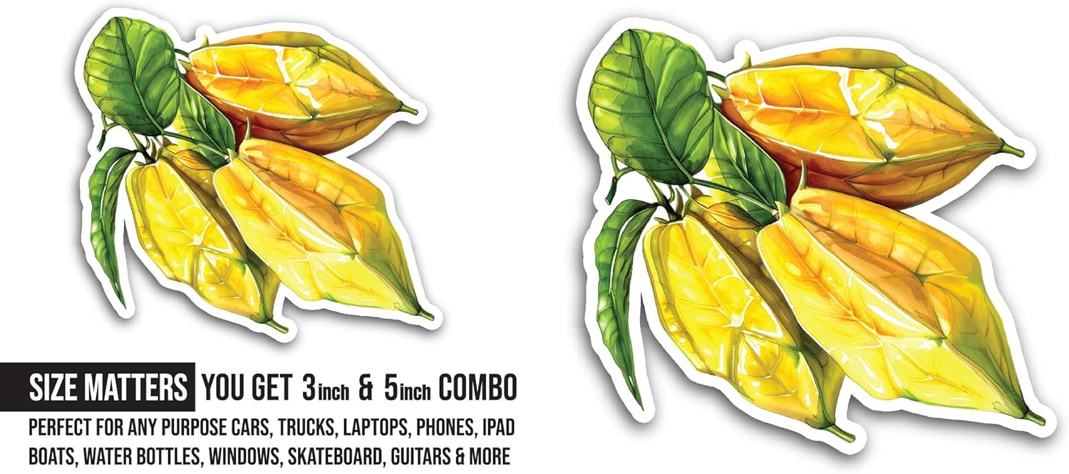 2 (Pieces) 3" and 5" Star Fruit Sticker, Waterproof Vinyl Decals for Many Purpose Like Cars, Trucks, Laptops, Phones, Windows and More