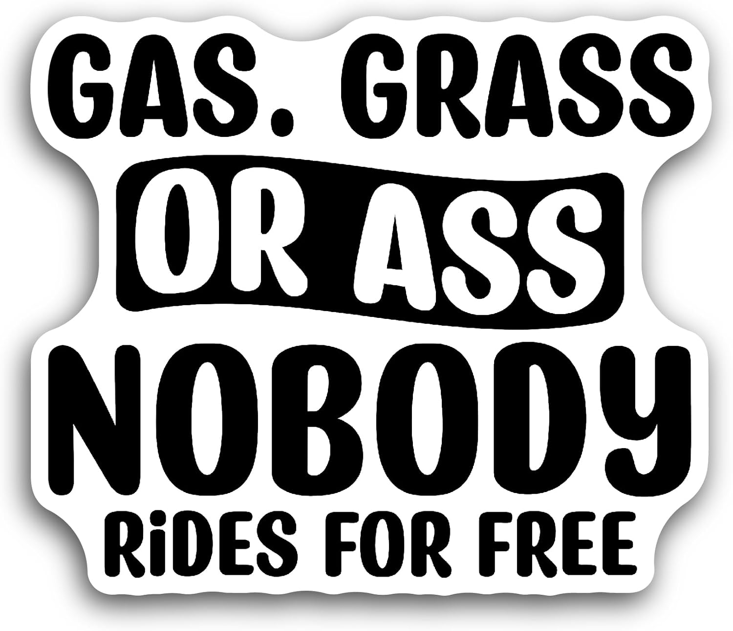 2 (Pieces) 3" and 5" Nobody Rides Text Sticker, Waterproof Vinyl Decals for Many Purpose Like Cars, Trucks, Laptops, Phones, Windows and More