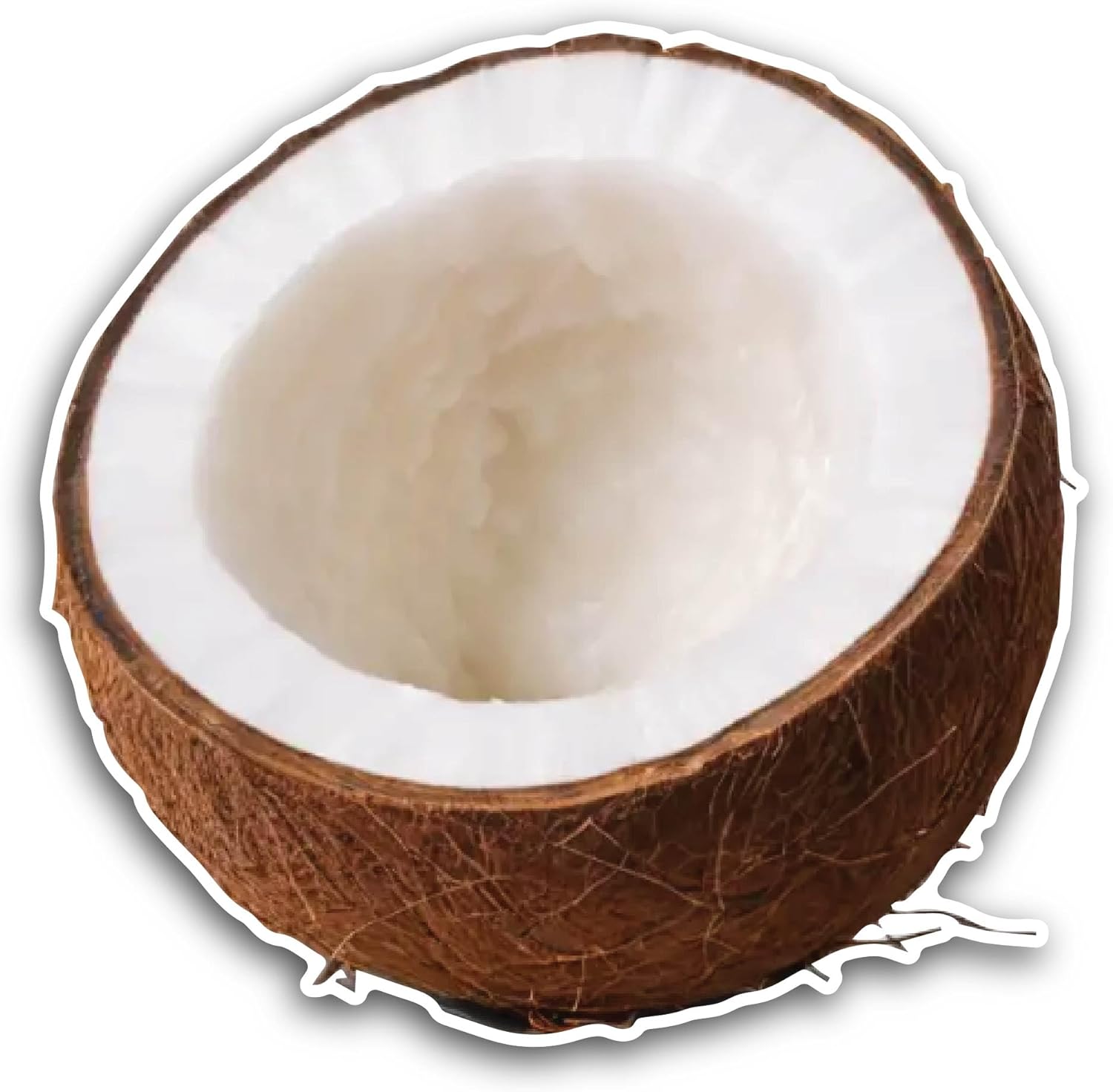 2 (Pieces) 3" and 5" Half of Coconut Sticker, Waterproof Vinyl Decals for Many Purpose Like Cars, Trucks, Laptops, Phones, Windows and More