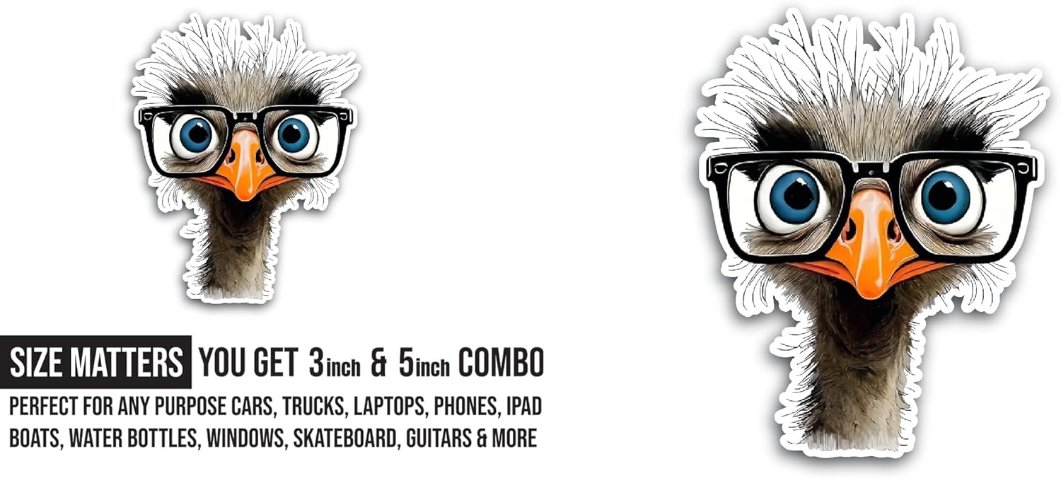 2 (Pieces) 3" and 5" Ostrich Sticker, Waterproof Vinyl Decals for Many Purpose Like Cars, Trucks, Laptops, Phones, Windows and More