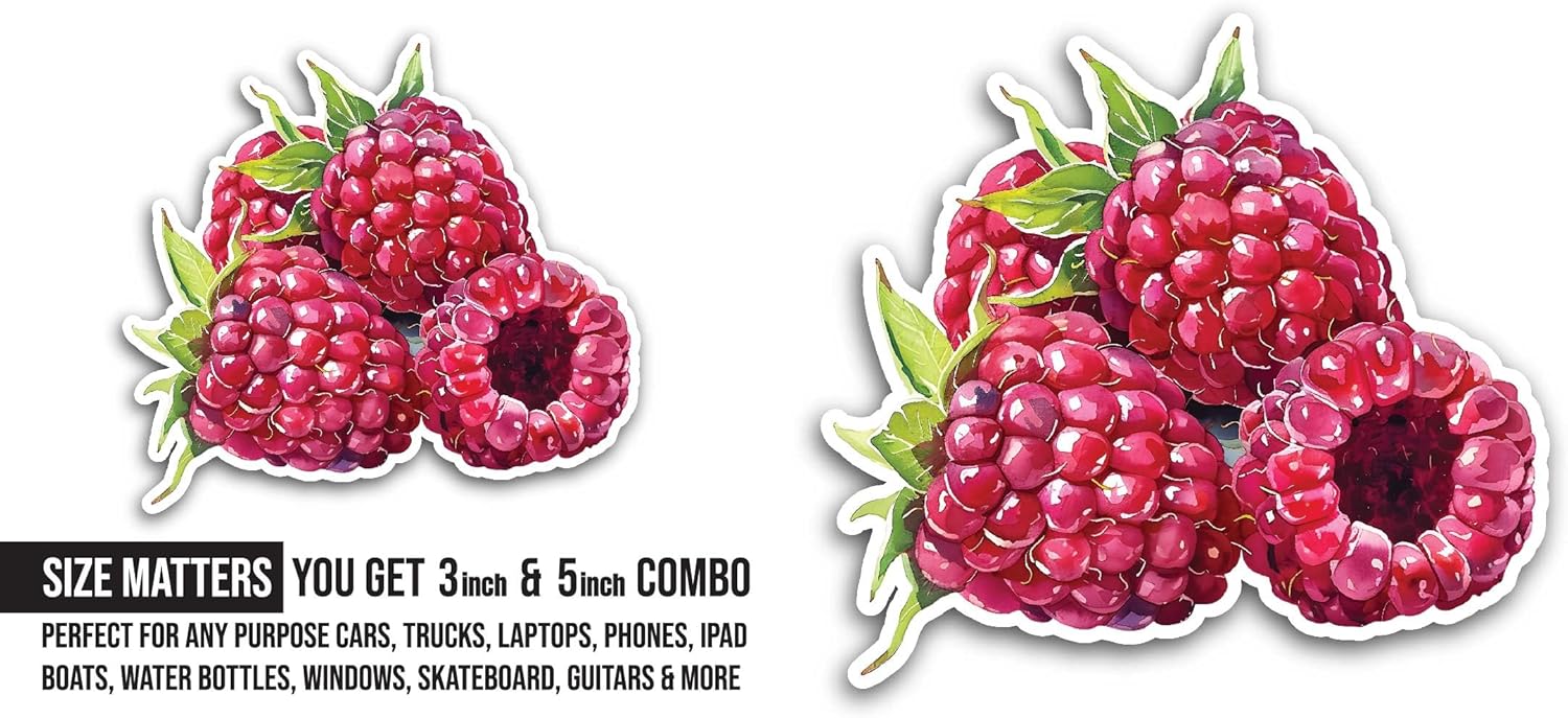 2 (Pieces) 3" and 5" Raspberries Sticker, Waterproof Vinyl Decals for Many Purpose Like Cars, Trucks, Laptops, Phones, Windows and More