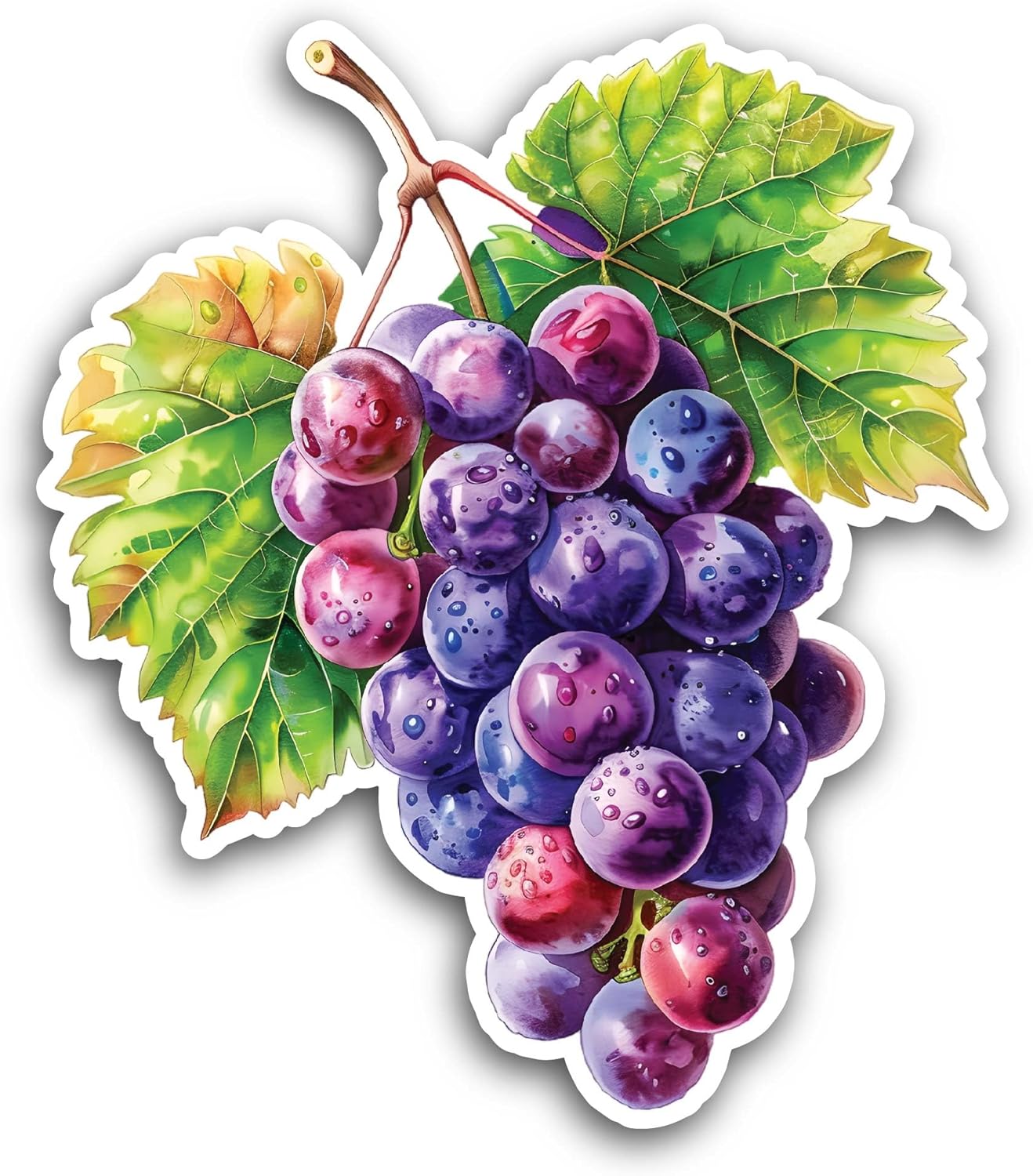 2 (Pieces) 3" and 5" Bunch of Grapes Sticker, Waterproof Vinyl Decals for Many Purpose Like Cars, Trucks, Laptops, Phones, Windows and More