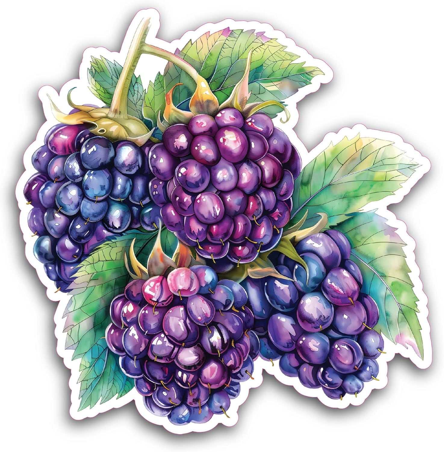 2 (Pieces) 3" and 5" Mulberry Sticker, Waterproof Vinyl Decals for Many Purpose Like Cars, Trucks, Laptops, Phones, Windows and More