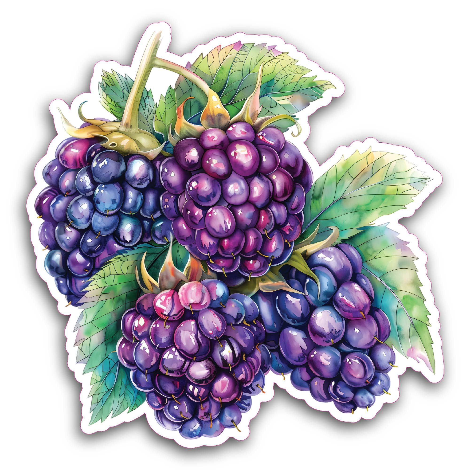 3 (Pieces) 1" 2" and 3" Spine Bones and Roses Decal Sticker, Waterproof & Scratch Resistant for Many
