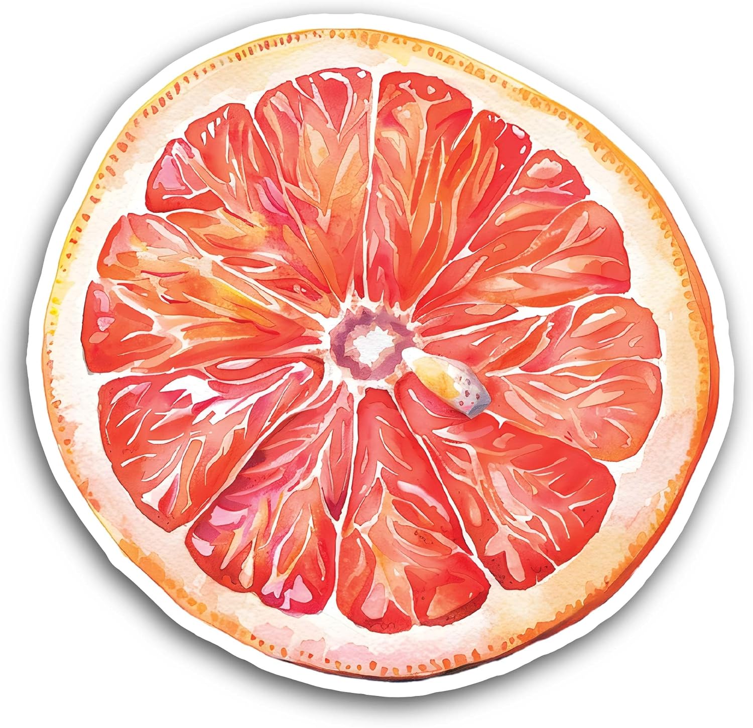 2 (Pieces) 3" and 5" Grapefruit Slice Sticker, Waterproof Vinyl Decals for Many Purpose Like Cars, Trucks, Laptops, Phones, Windows and More