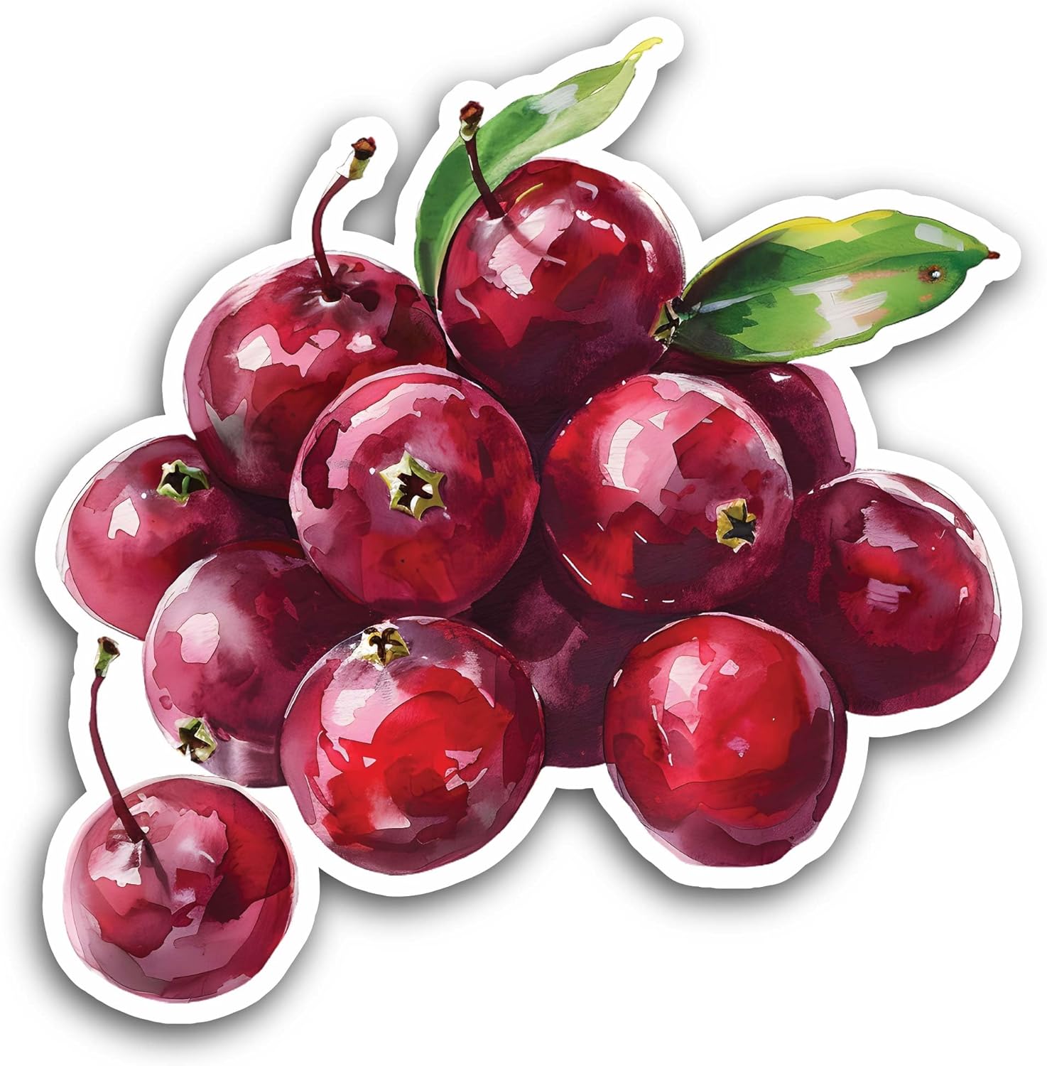 2 (Pieces) 3" and 5" Cranberries Sticker, Waterproof Vinyl Decals for Many Purpose Like Cars, Trucks, Laptops, Phones, Windows and More