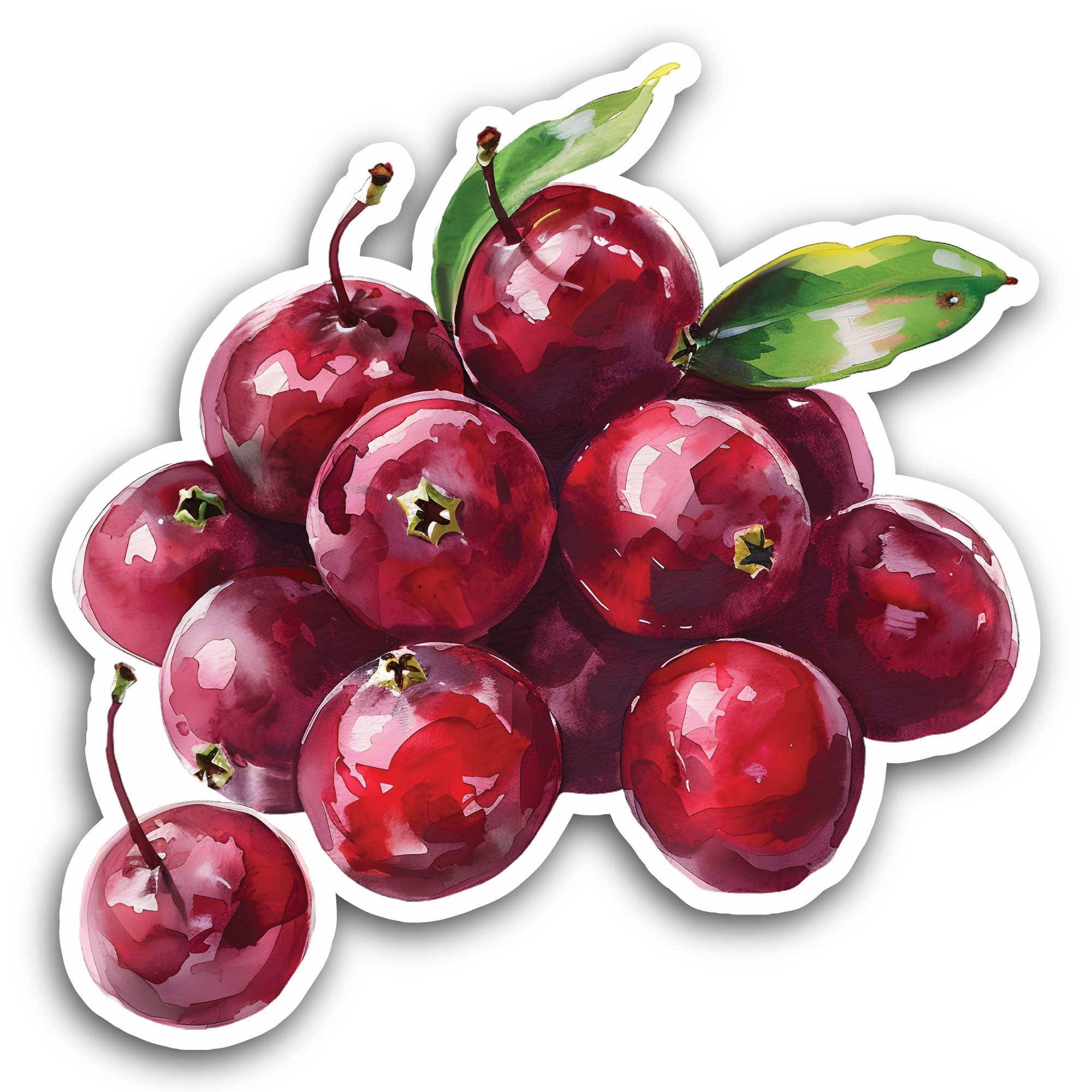 2 (Pieces) 3" and 5" Cranberries Sticker, Waterproof Vinyl Decals for Many Purpose Like Cars, Trucks
