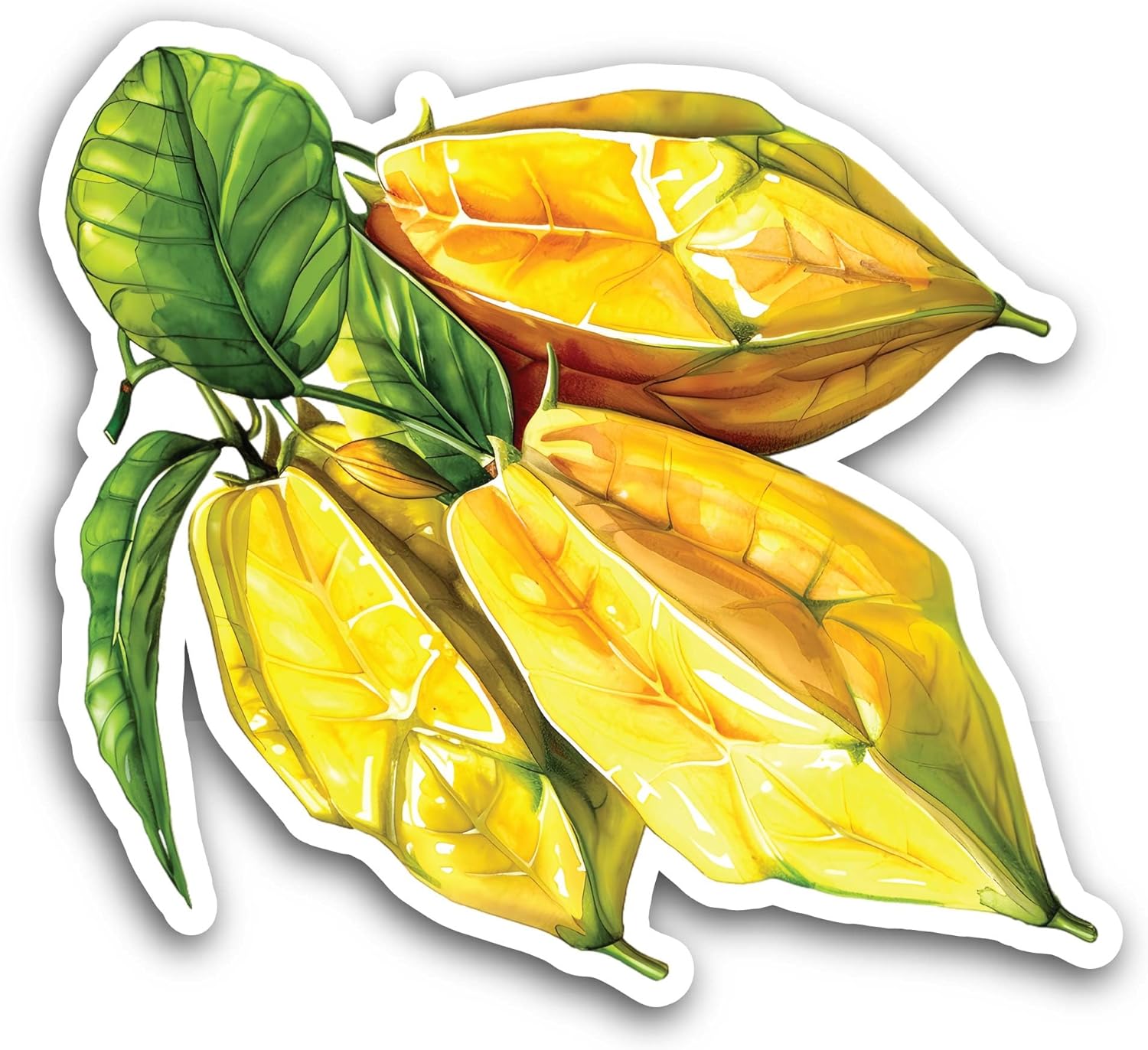2 (Pieces) 3" and 5" Star Fruit Sticker, Waterproof Vinyl Decals for Many Purpose Like Cars, Trucks, Laptops, Phones, Windows and More