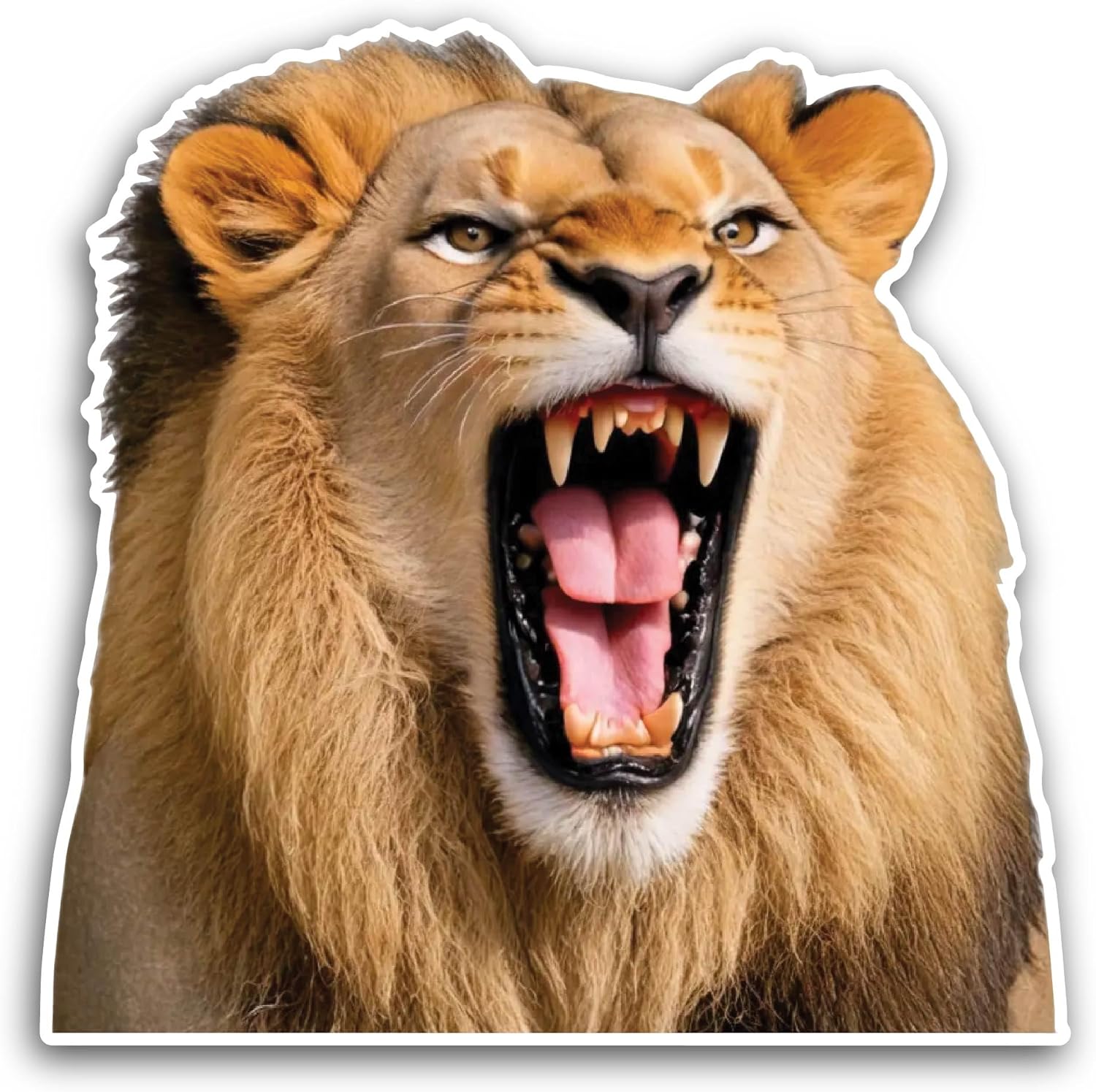 2 (Pieces) 3" and 5" Lion Head Roaring with Open Mouth Sticker, Waterproof Vinyl Decals for Many Purpose Like Cars, Trucks, Laptops, Phones, Windows and More