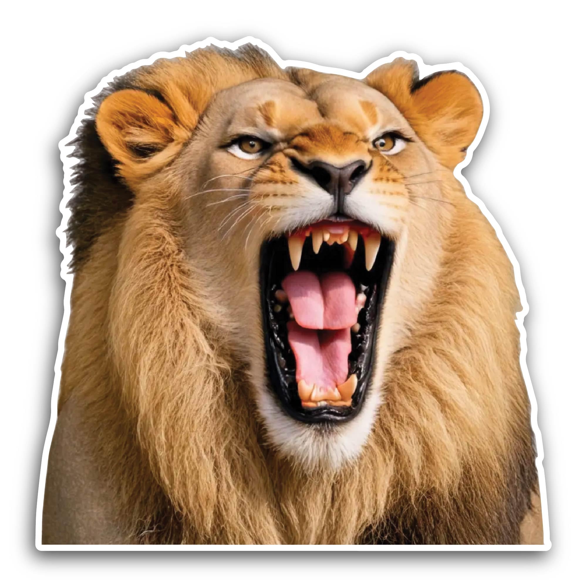 2 (Pieces) 3" and 5" Winter Sport Sticker, Waterproof Vinyl Decals for Many Purpose Like Cars, Truck