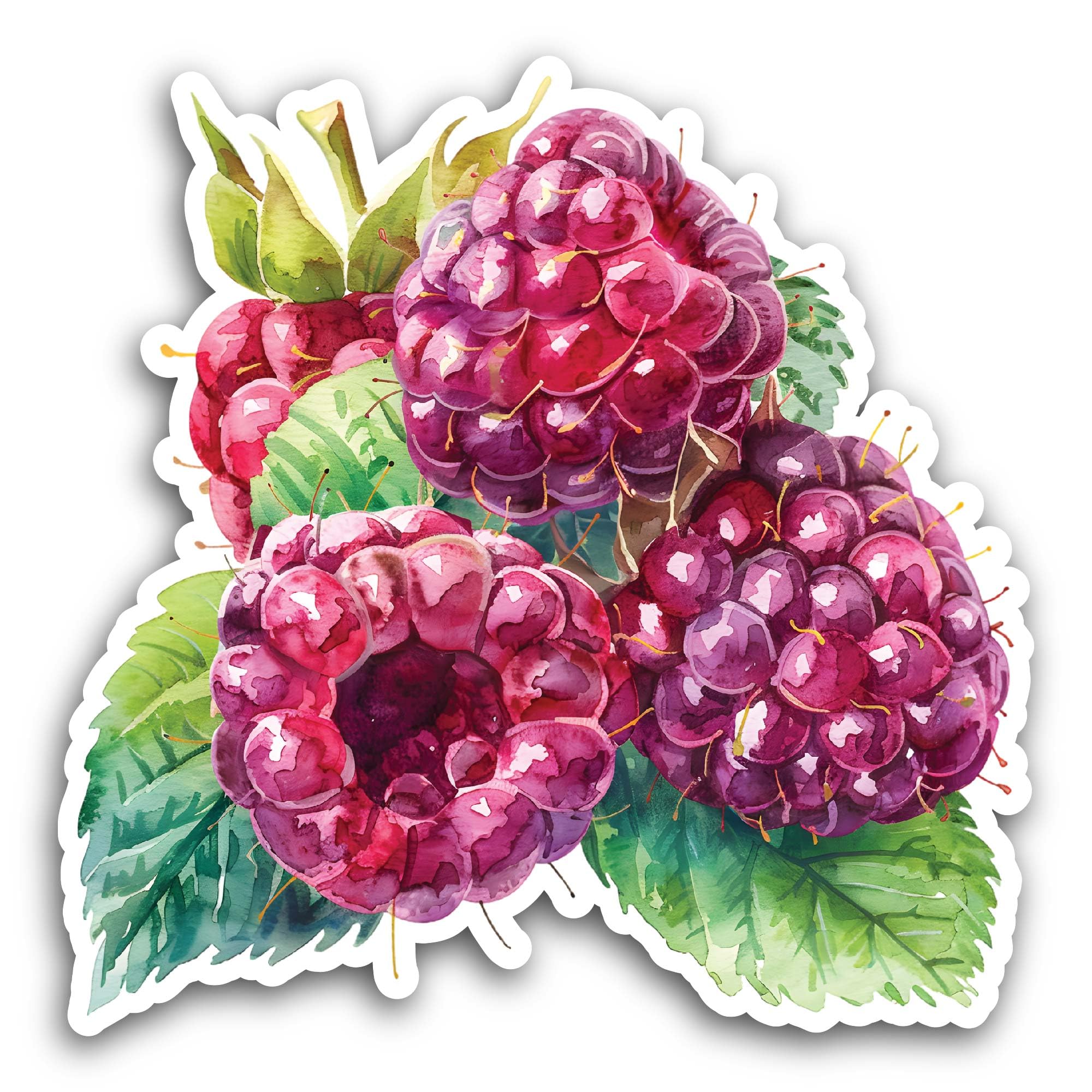 2 (Pieces) 3" and 5" A Cluster of Ripe Raspberries Sticker, Waterproof Vinyl Decals for Many Purpose
