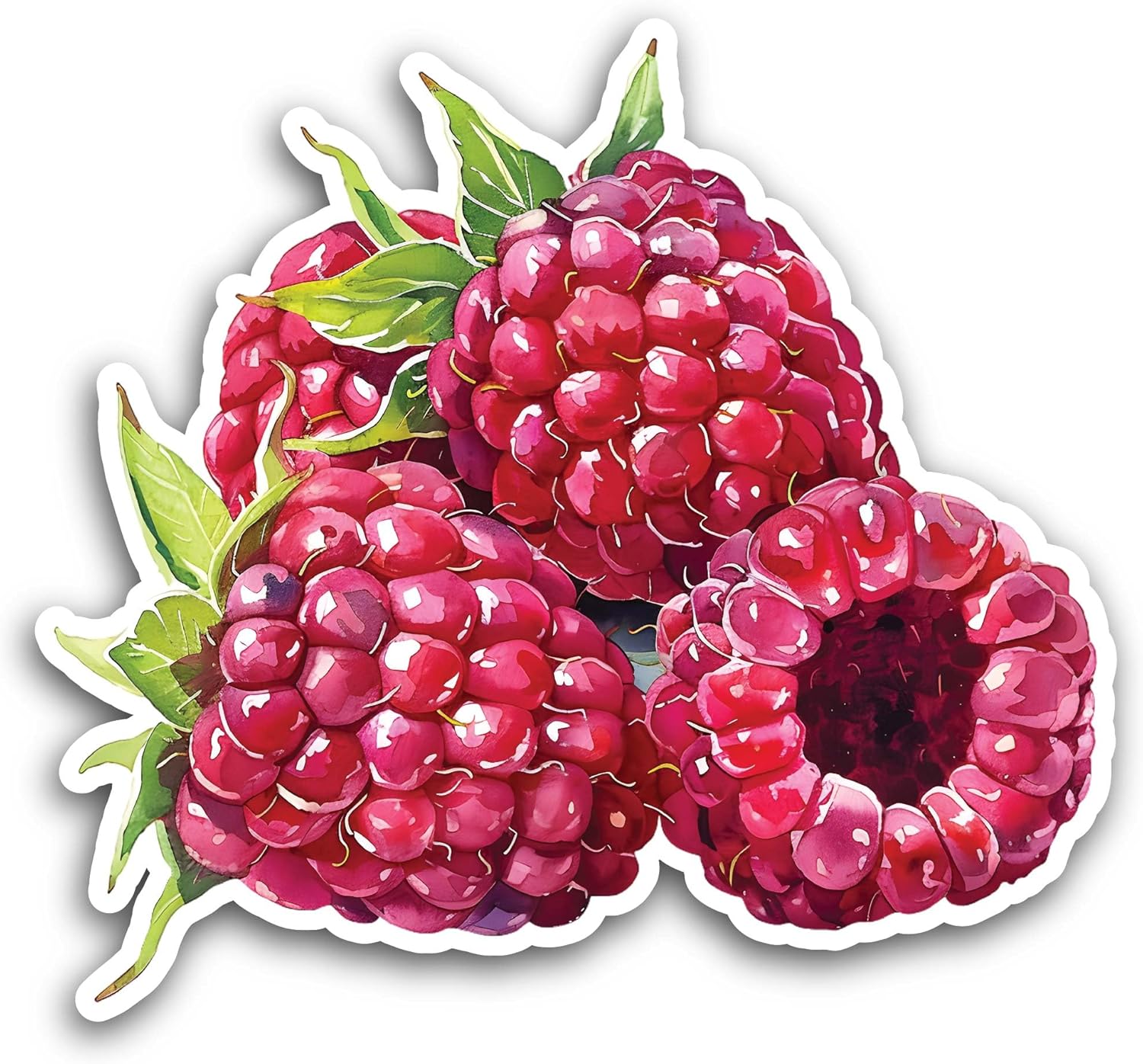 2 (Pieces) 3" and 5" Raspberries Sticker, Waterproof Vinyl Decals for Many Purpose Like Cars, Trucks, Laptops, Phones, Windows and More
