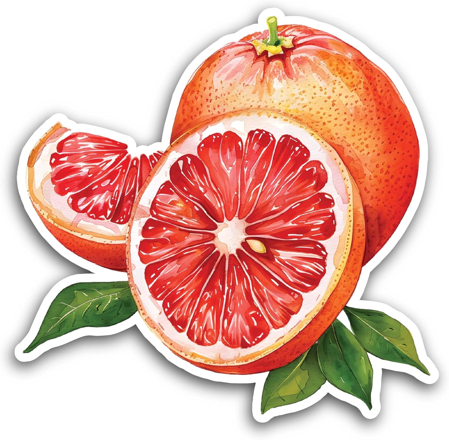 2 (Pieces) 3" and 5" Grapefruit Sticker, Waterproof Vinyl Decals for Many Purpose Like Cars, Trucks, Laptops, Phones, Windows and More