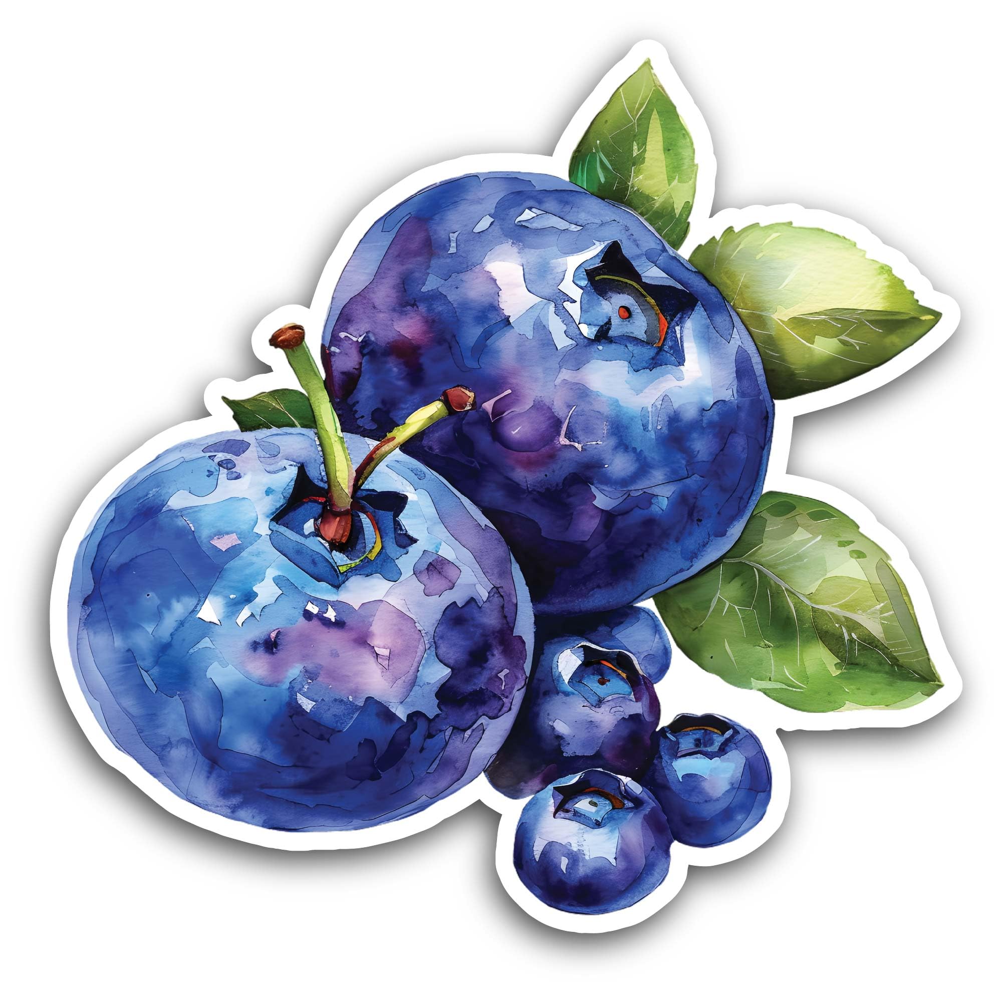 2 (Pieces) 3" and 5" Blueberry Sticker, Waterproof Vinyl Decals for Many Purpose Like Cars, Trucks, 