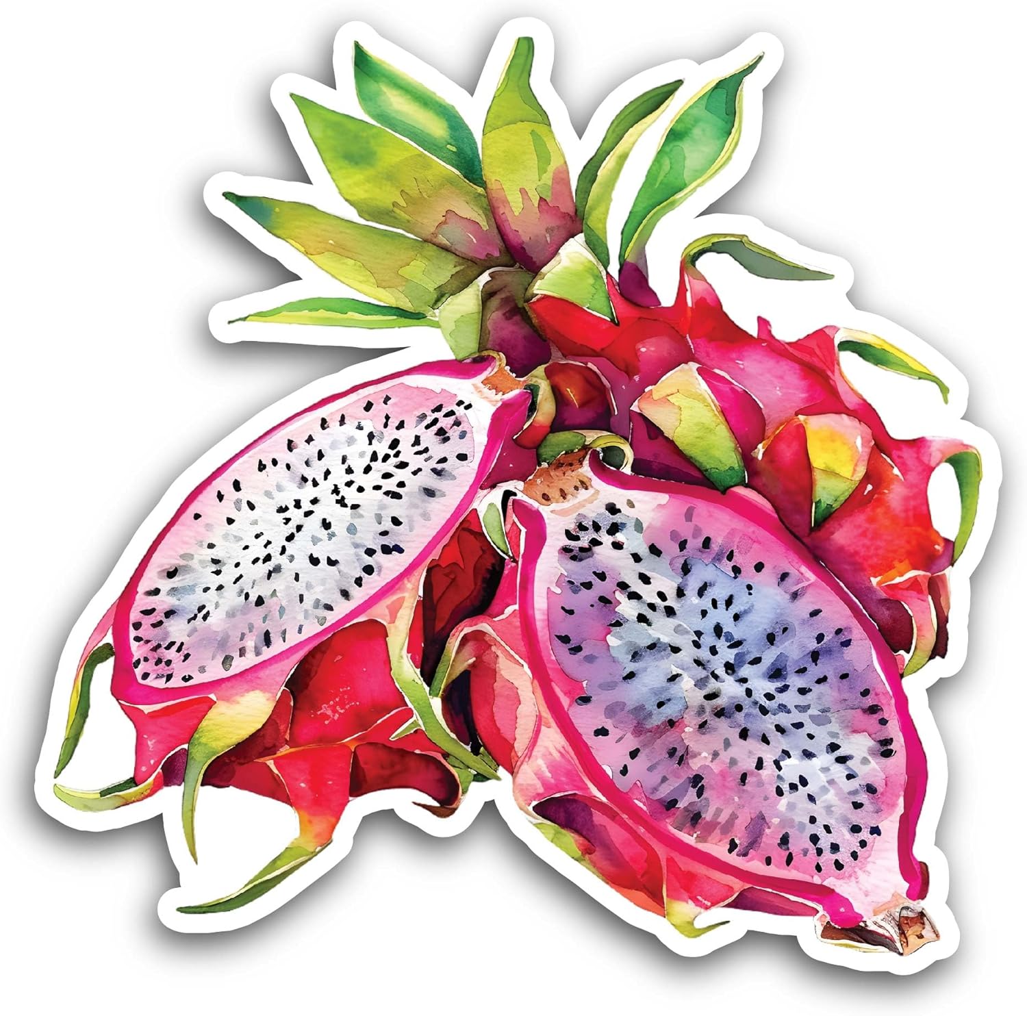 2 (Pieces) 3" and 5" Dragonfruit Sticker, Waterproof Vinyl Decals for Many Purpose Like Cars, Trucks, Laptops, Phones, Windows and More