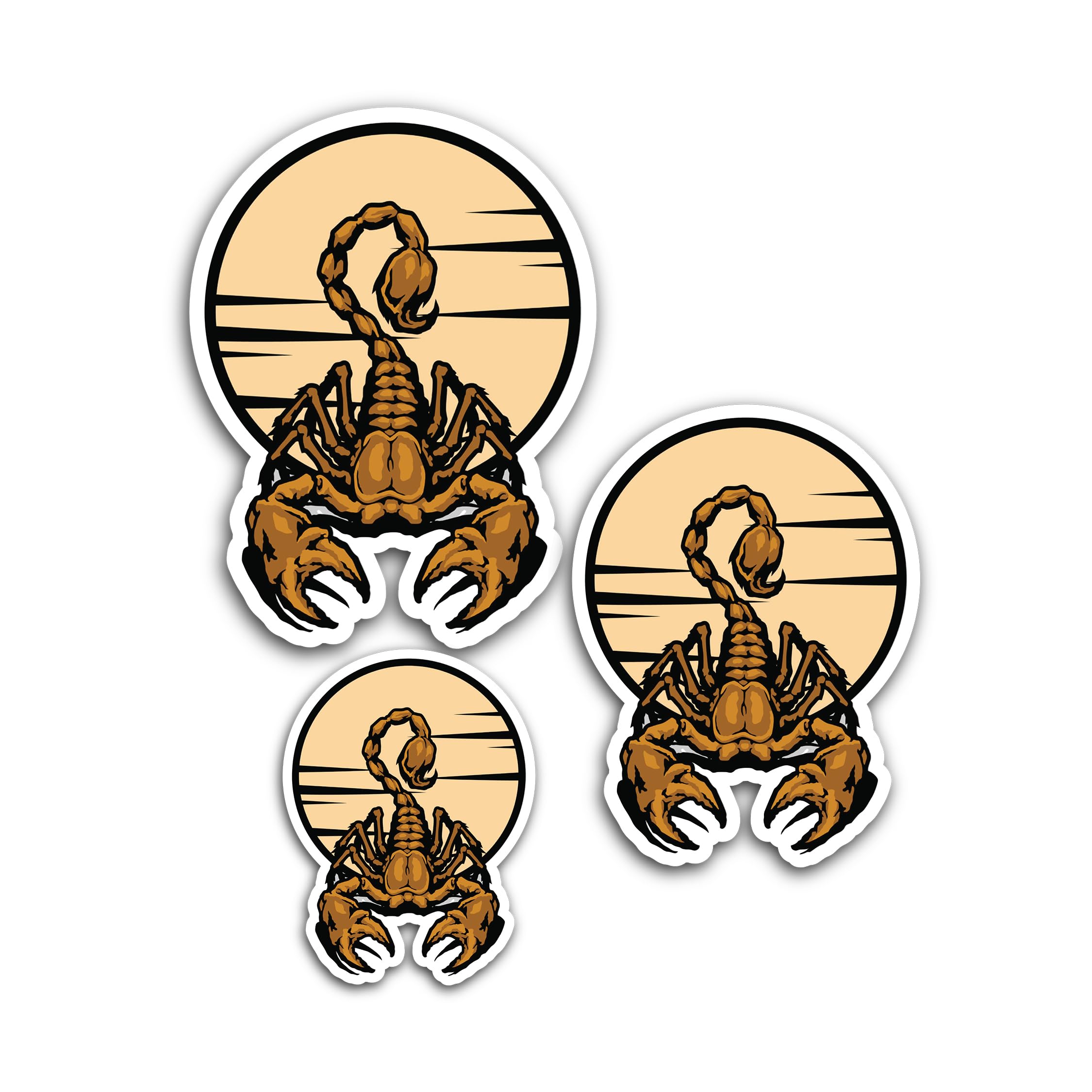 2 (Pieces) 3" and 5" White Background & You are The Best Sticker, Waterproof Vinyl Decals for Many P