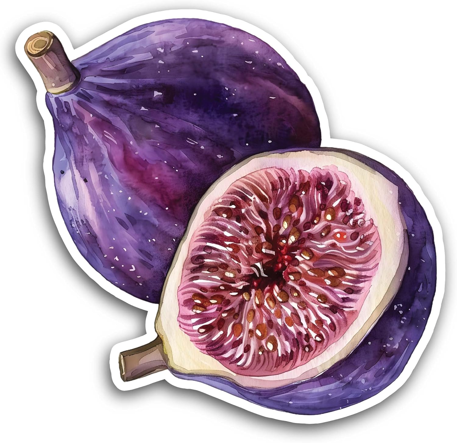 2 (Pieces) 3" and 5" Fig Fruit Sticker, Waterproof Vinyl Decals for Many Purpose Like Cars, Trucks, Laptops, Phones, Windows and More