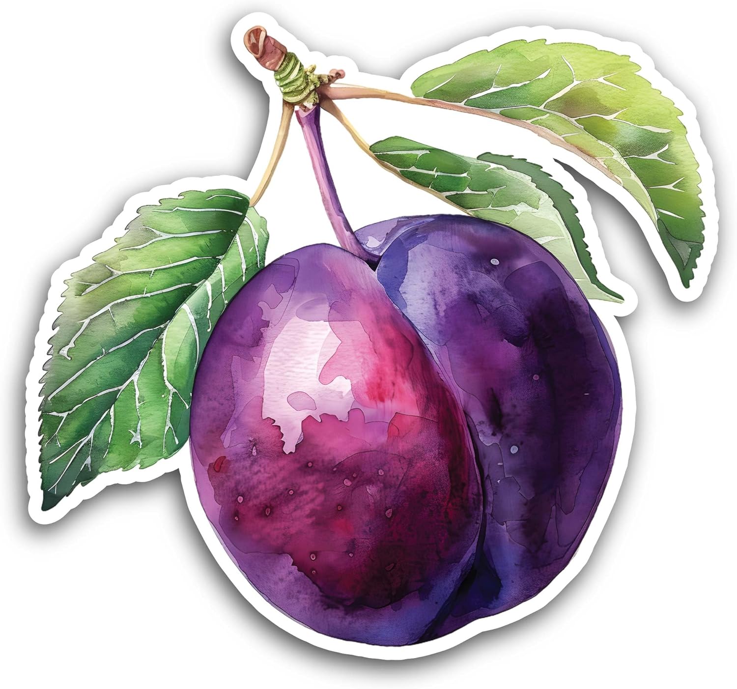 2 (Pieces) 3" and 5" Plum Sticker, Waterproof Vinyl Decals for Many Purpose Like Cars, Trucks, Laptops, Phones, Windows and More