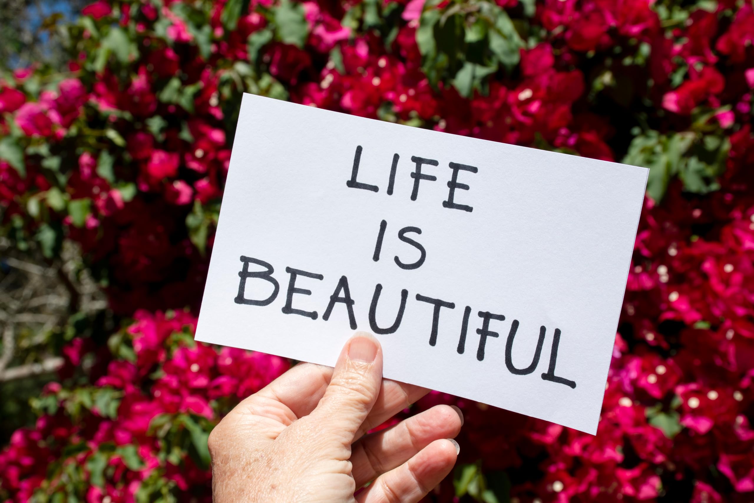 2 (Pieces) 3" and 5" Stickers n Decals Life is a Beach Enjoy The Waves - Motivational Sticker Vinyl 