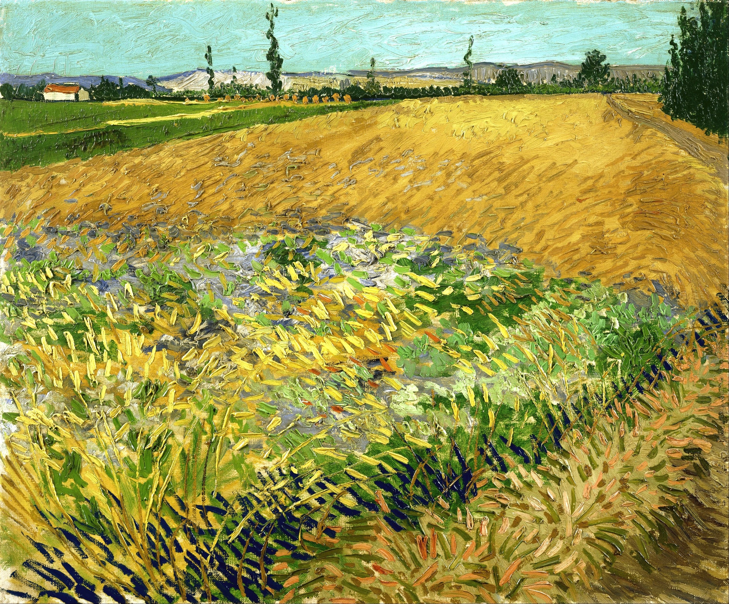 Vinyl Decal, Vibrant Golden Field Artwork, Expressive Brushstrokes, Nature Inspired Wall Decor, Land