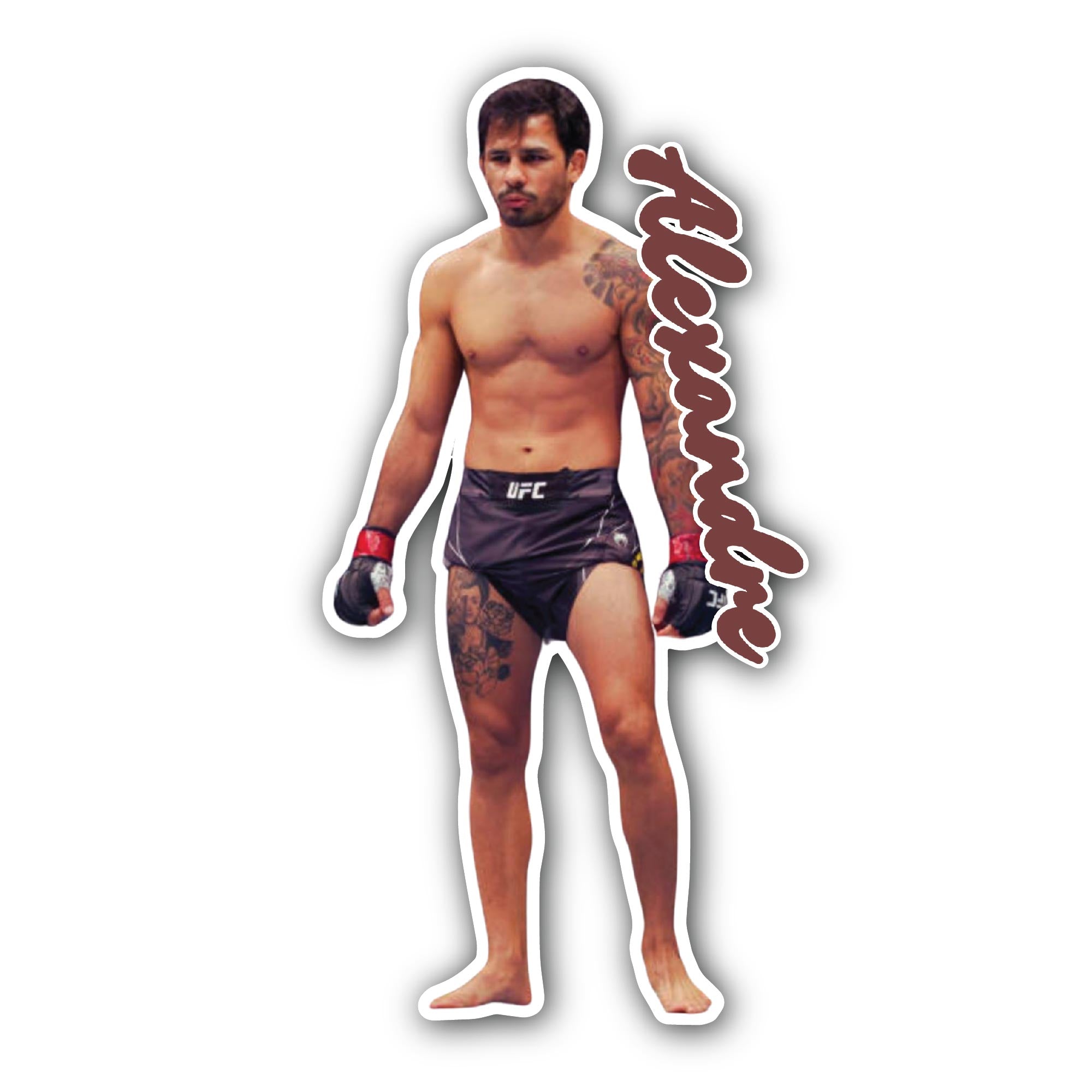 Alexandre Sticker, Waterproof Vinyl Decal Sticker Indoor Or Outdoor 2 (Pieces) 3" and 5"