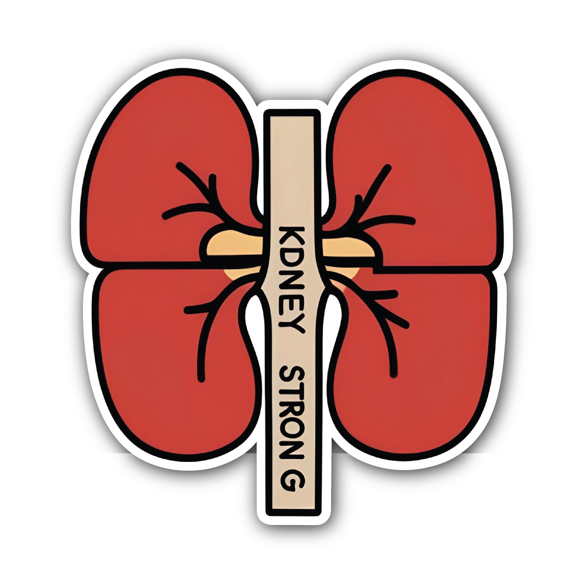 Kidney Strong Sticker, Waterproof Vinyl Decal Sticker Indoor Or Outdoor 2 (Pieces) 3" and 5"