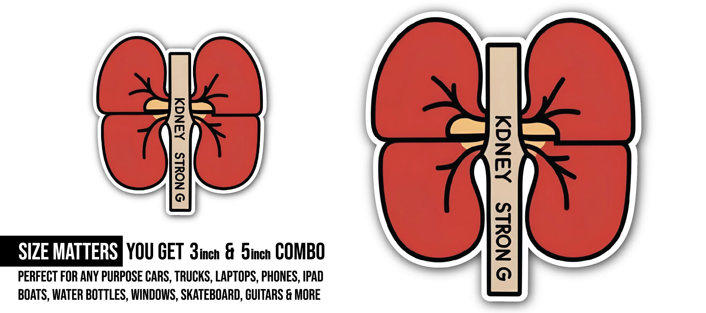 Kidney Strong Sticker, Waterproof Vinyl Decal Sticker Indoor Or Outdoor 2 (Pieces) 3" and 5"