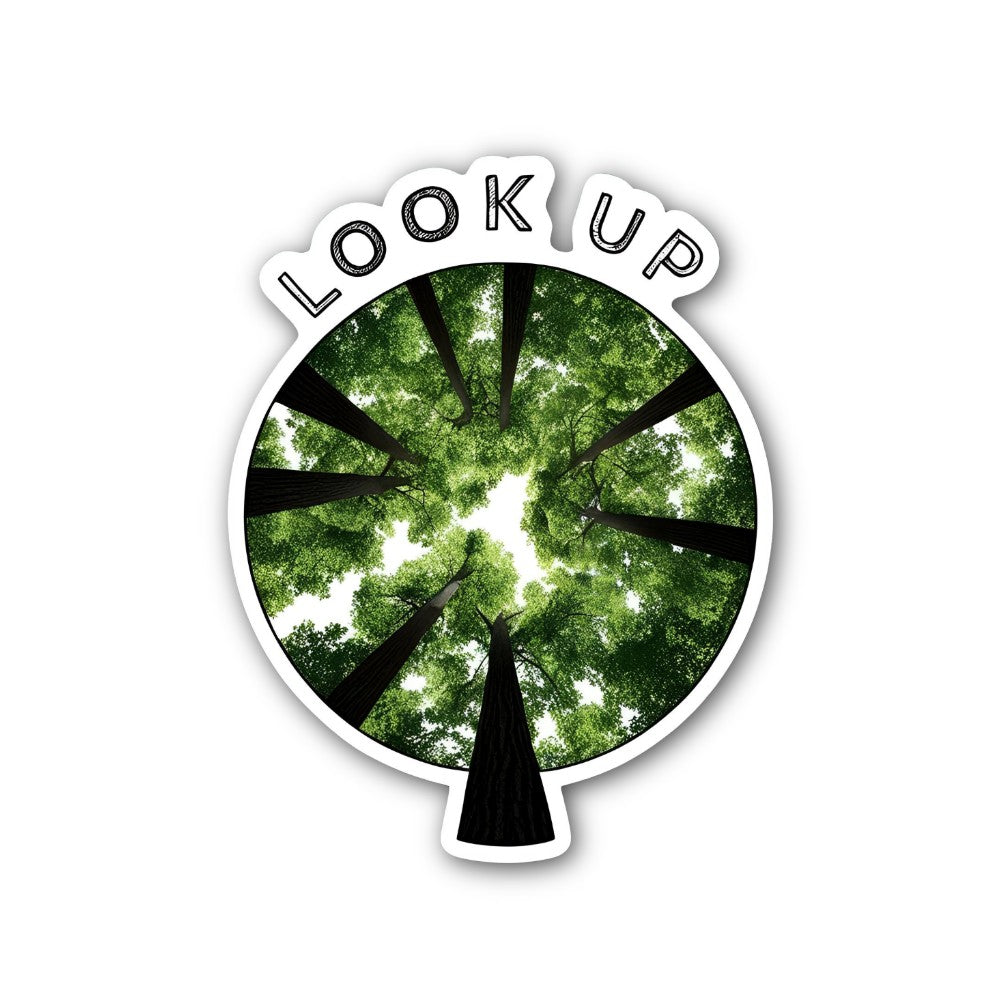 LOOK UP Beautiful Sky Sticker, Waterproof Vinyl Decal Sticker Indoor Or Outdoor 2 (Pieces) 3" and 5"