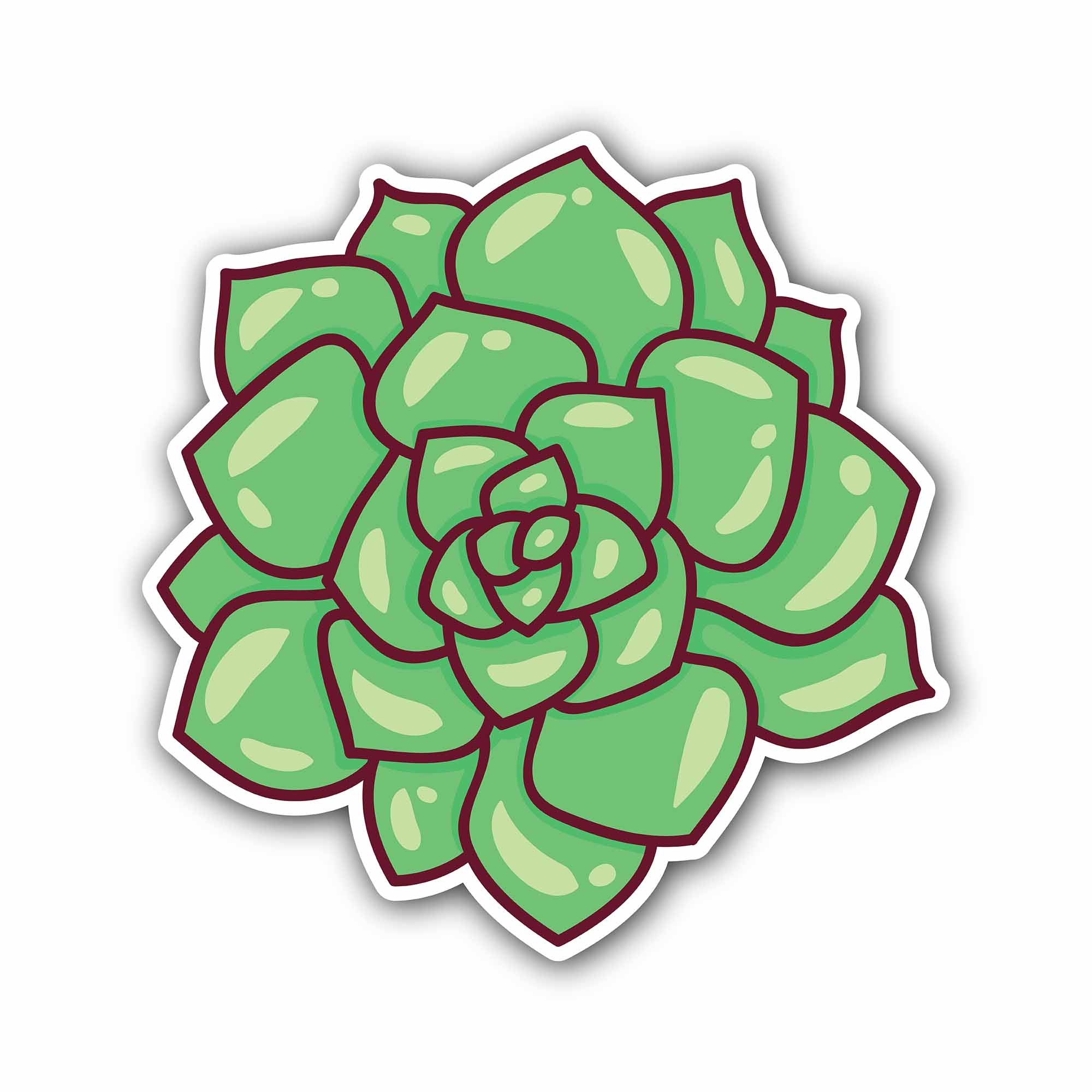 Green Haworthia Sticker, Waterproof Vinyl Decal Sticker Indoor Or Outdoor 2 (Pieces) 3" and 5"